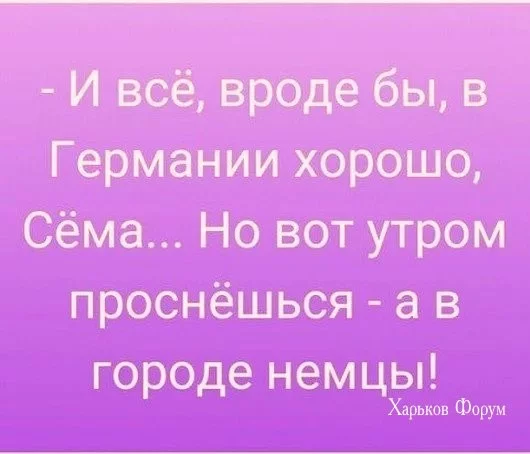 e2820cf978cac5524c.webp