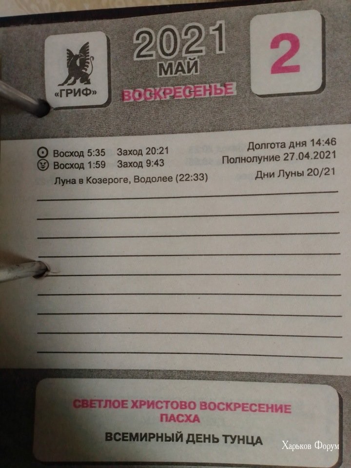 e285fa57127759d97.jpg