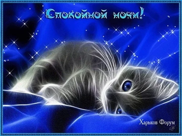 e29276fb5e86ee76.webp