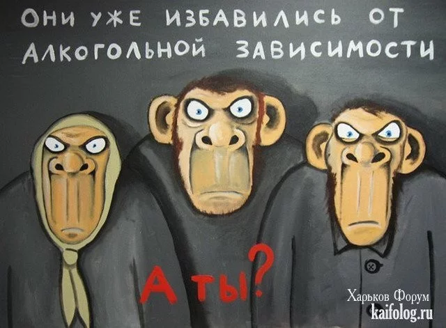 e2b14b359c20ac17.webp