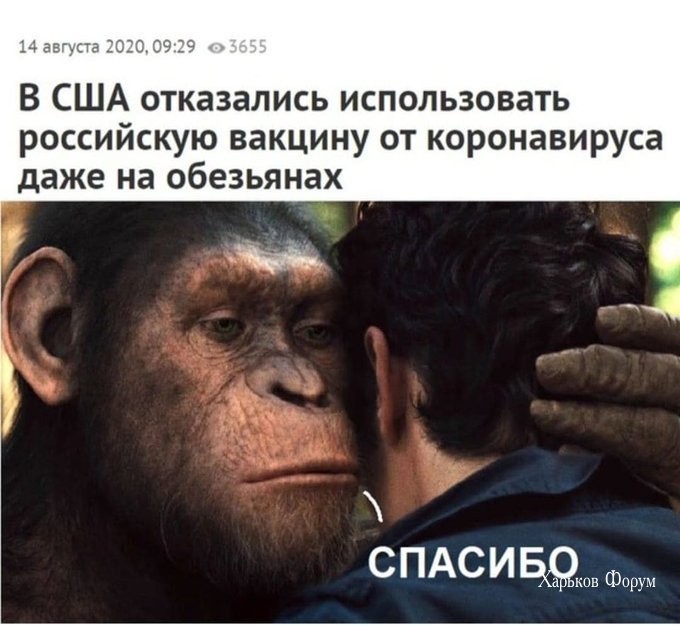 e2bf9f13c377a03d9a8d.jpg
