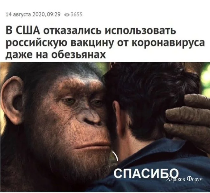 e2bf9f13c377a03d9a8d.webp