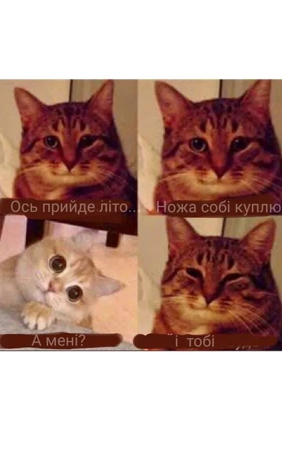 e2c21ce7fc0e73ca47.webp