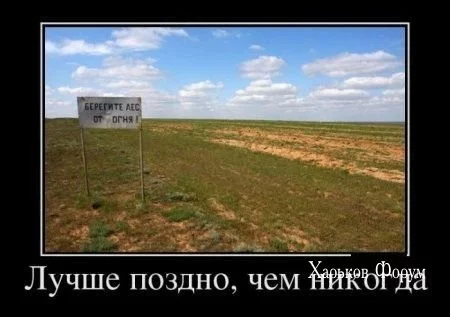 e2e56daf6a647d64531285d9.webp