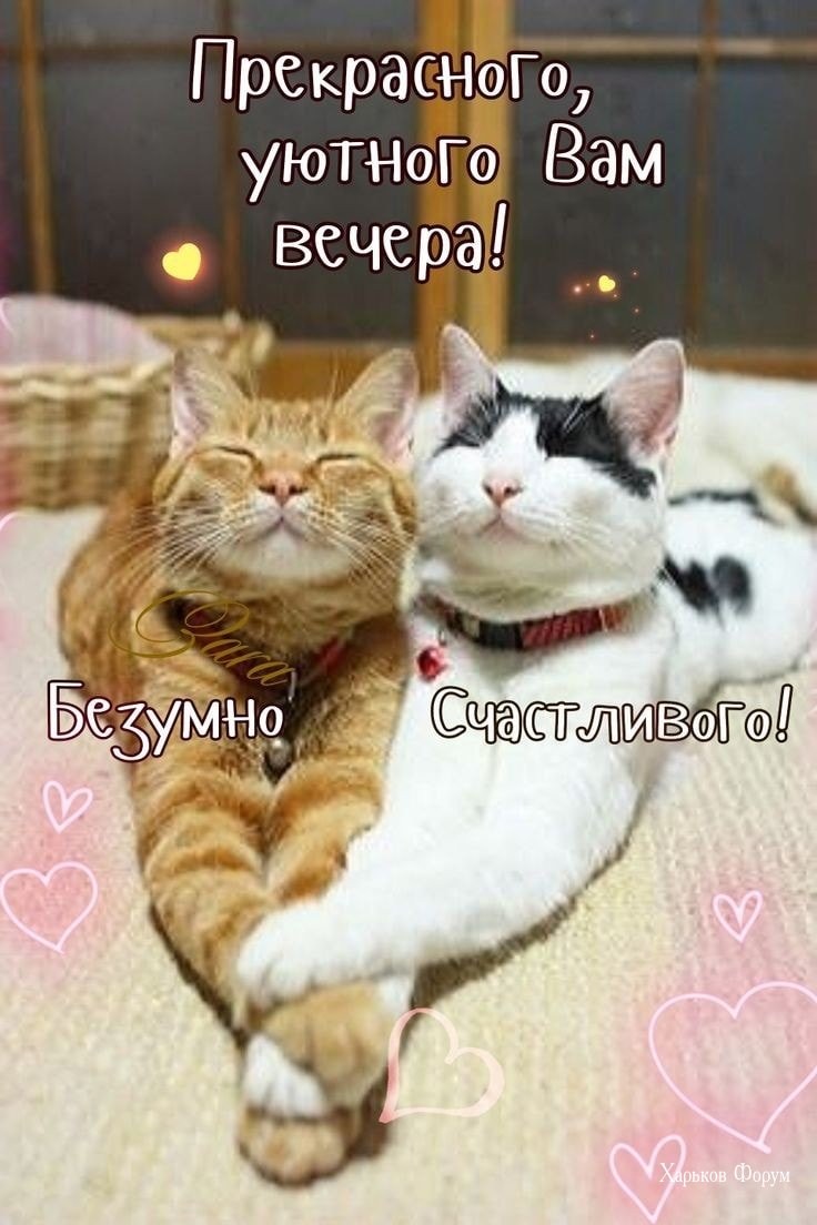 e2ef8a43b3705de2505ecf9b.jpg