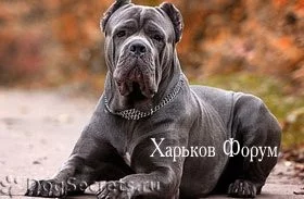 e2f45d09293c4e2106009f.webp