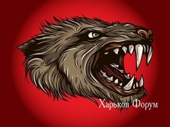 e2fe90ad1fdd99ce6f1.jpg