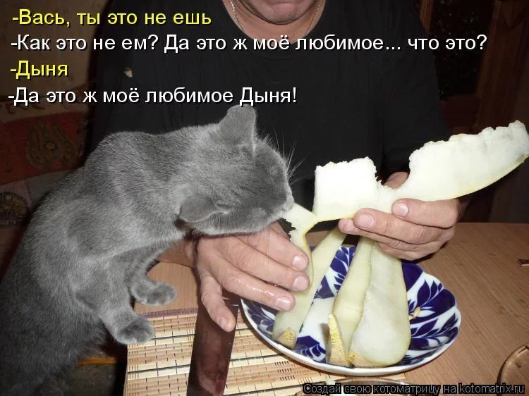 e2gddg.webp
