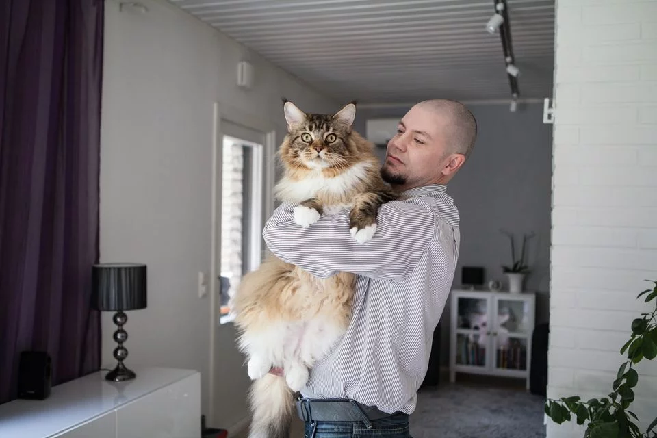 e2gjeg.webp