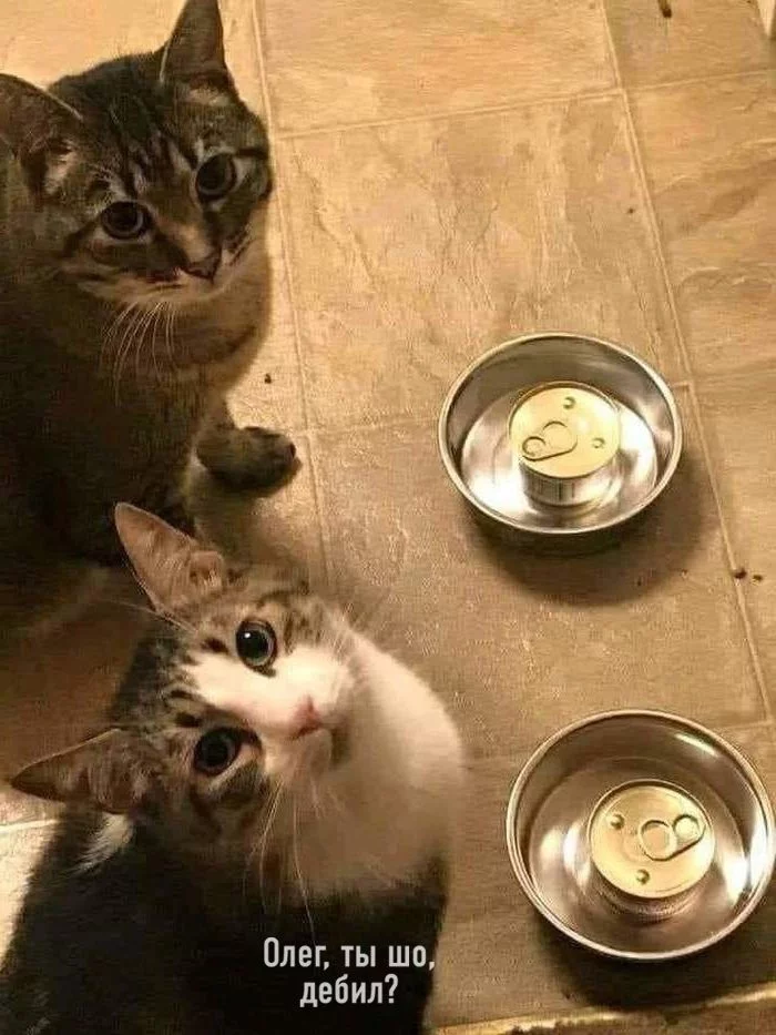 E2GV0NJXEAUzEZu?format=jpg&name=medium.webp