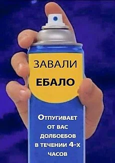 e2hghg.webp