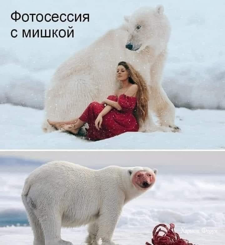 e31d21c60fdfc2565125d6da.jpg