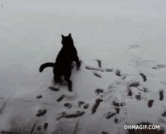 e3220f6ae259a63abecb5ba.gif