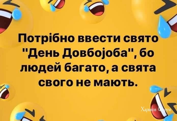 e3289f17b3b802bbf1.jpg
