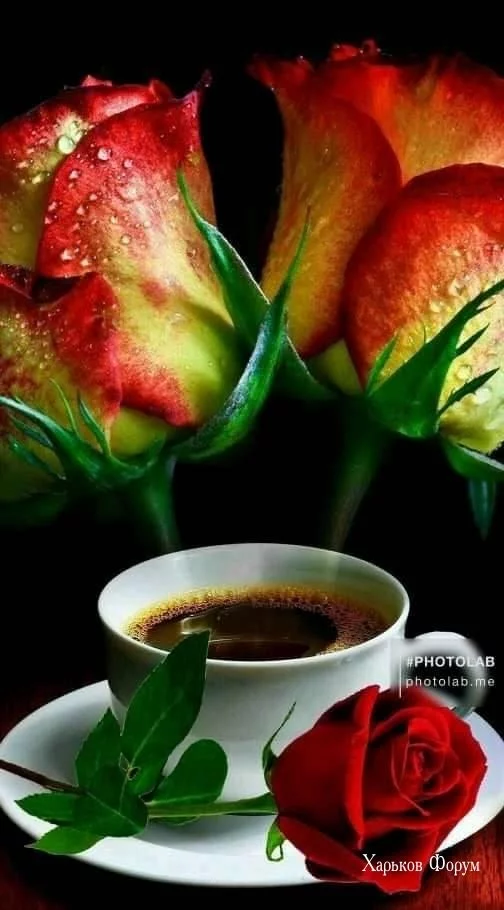 e3293c4eb9b19253a90ee95.webp