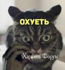 e32b01c694851517c1.webp