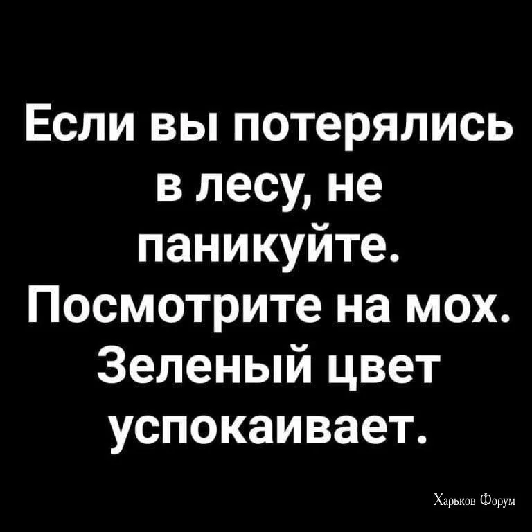 e3316c066a4148864cef668e.webp