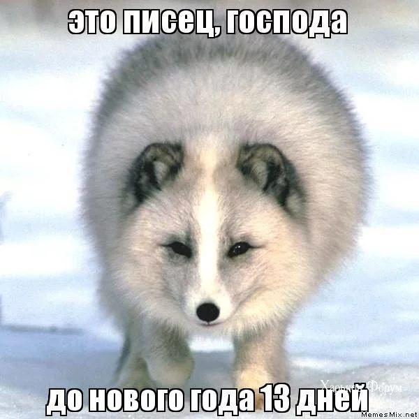 e341489b952fa698fd0.webp