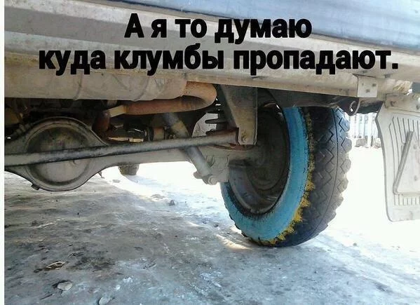e3571b98c0ee0d1da64390df038c11d5.webp