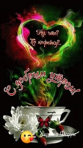 e358e9ad0a997f0164a9f0.webp