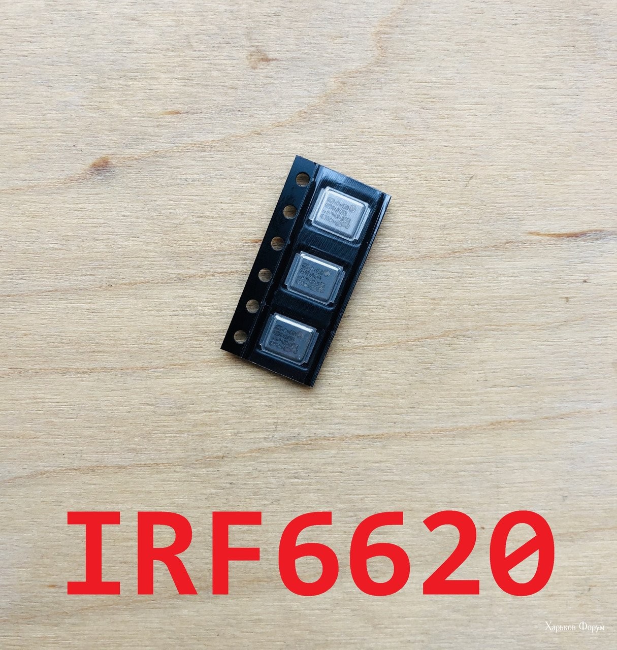 e359a59b038efbab8e3.jpg