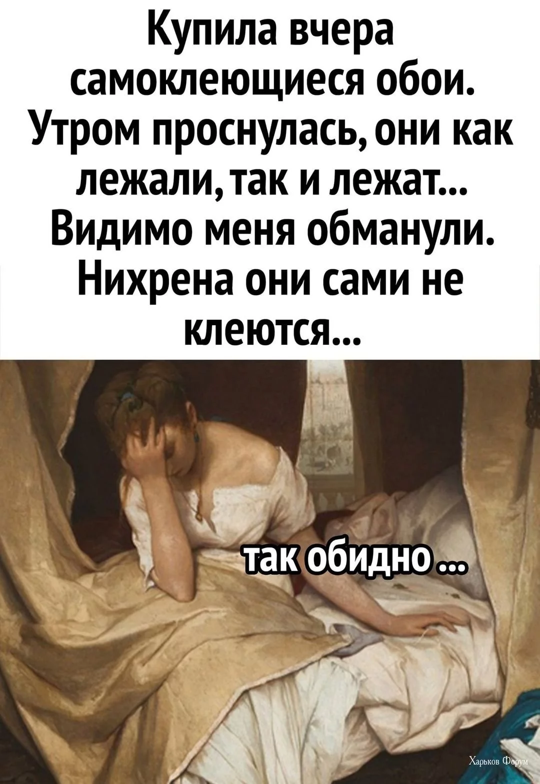 e378e12145352f44db54.webp