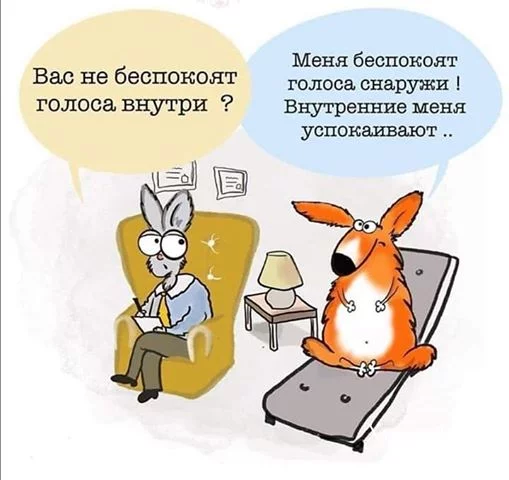 e37e4a75a11177c8d.webp