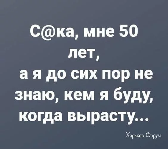 e37fb0e9fac25eb3bff44254.webp