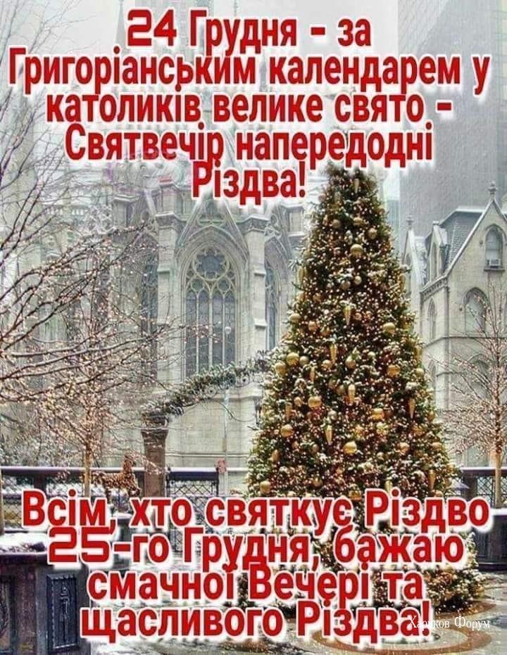 e3801879e4a10bc8920faf.jpg