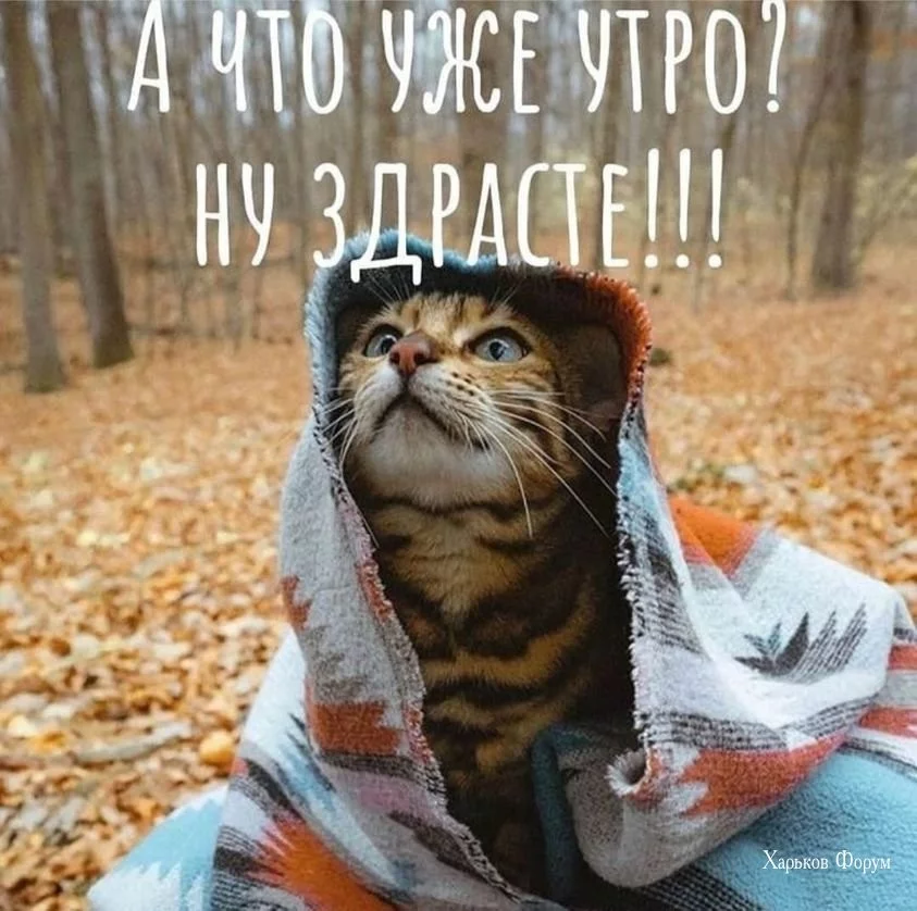 e3849d92b2025bf4ea2.webp
