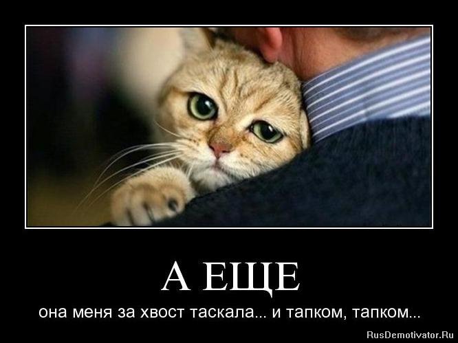e39c1b3ab2c082b4c933afba66a79c9b.jpg