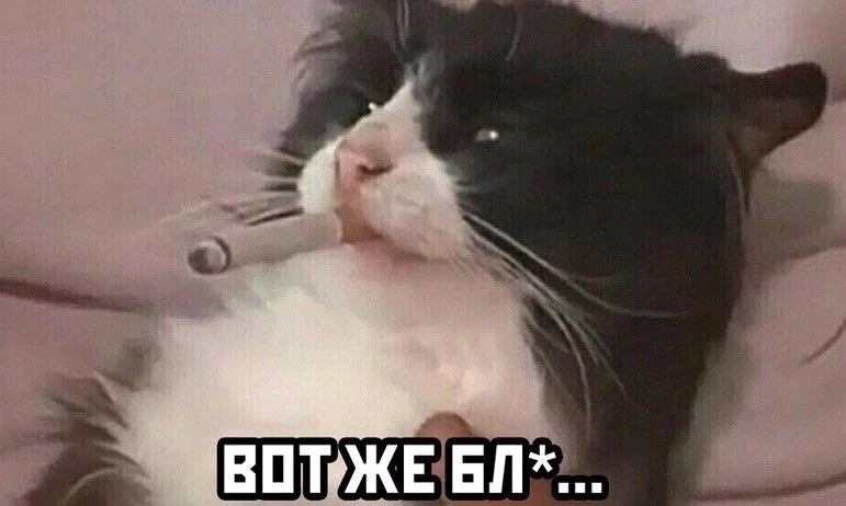 E3_zykFVIAMxyRq?format=jpg&name=900x900.webp