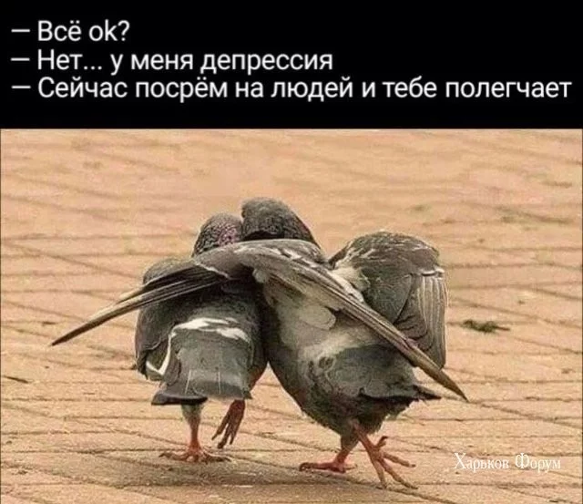e3b00036a3b1195f7a2e1a6.webp