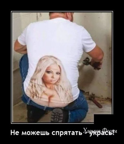 e3b65bf2852e1e0525256f49.webp