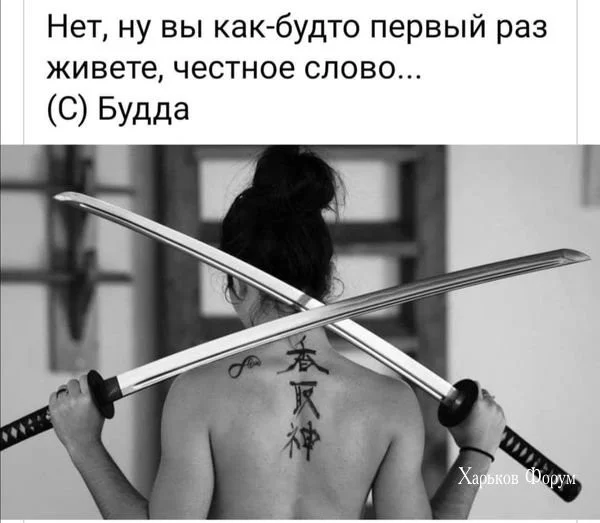 e3c84dcf773703e58f90.webp