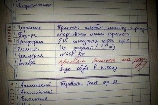 e3e09e818703b6554cec1cc348ce8200.webp
