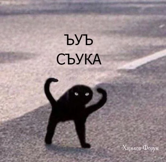 e3e2f925c38687a1dd88f546.webp