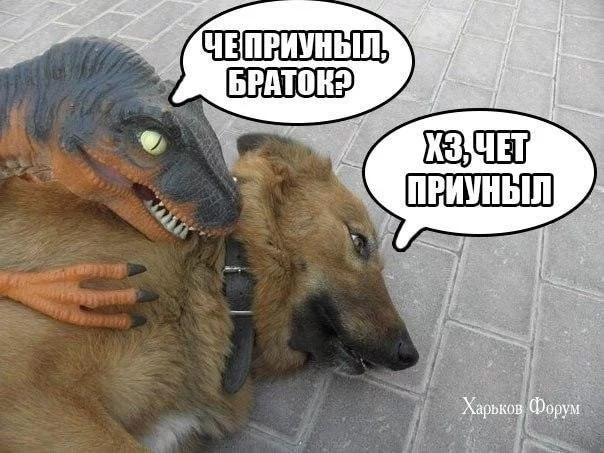 e3ea1f9bfc92a95a4e97e6f7.webp