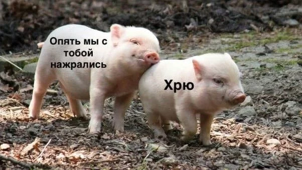 E3sQuBrXwAIJQlW?format=jpg&name=small.webp