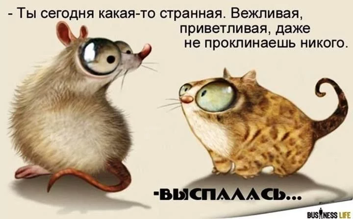 e40d90ff3fb4d5d20a5c40c70203268d.webp