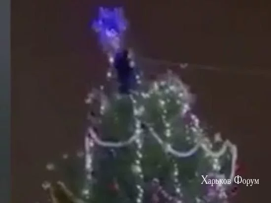 e42d1be2bb659737dec9.webp