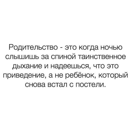 e43806e5818199eebe3de.webp