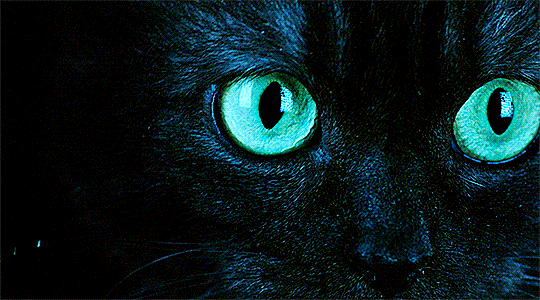 e439689b7bbcbf100d37540e2813ebffdd9443db.gif