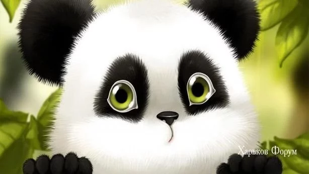 e449ba932a75d58978b8ab.webp