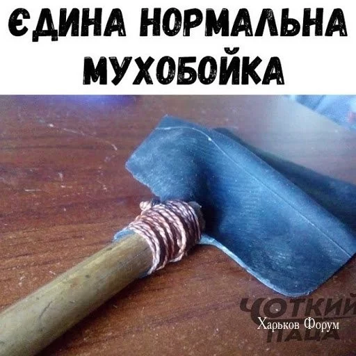 e46874a3e534dfd7cff5d.webp