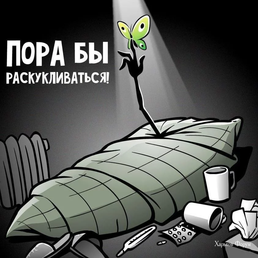 e468c79804fda7b48a.webp