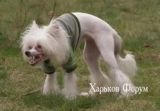 e4851c337079bbd337.webp
