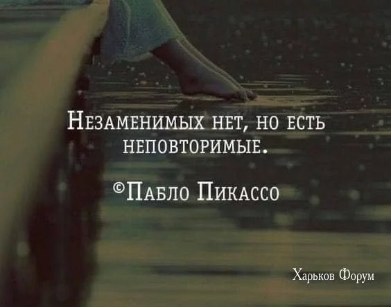 e49aa45ad9f6cabc8d28.webp