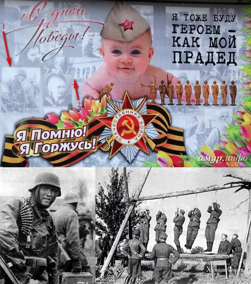 e4b78e9806b82b3f4b4eaace.webp