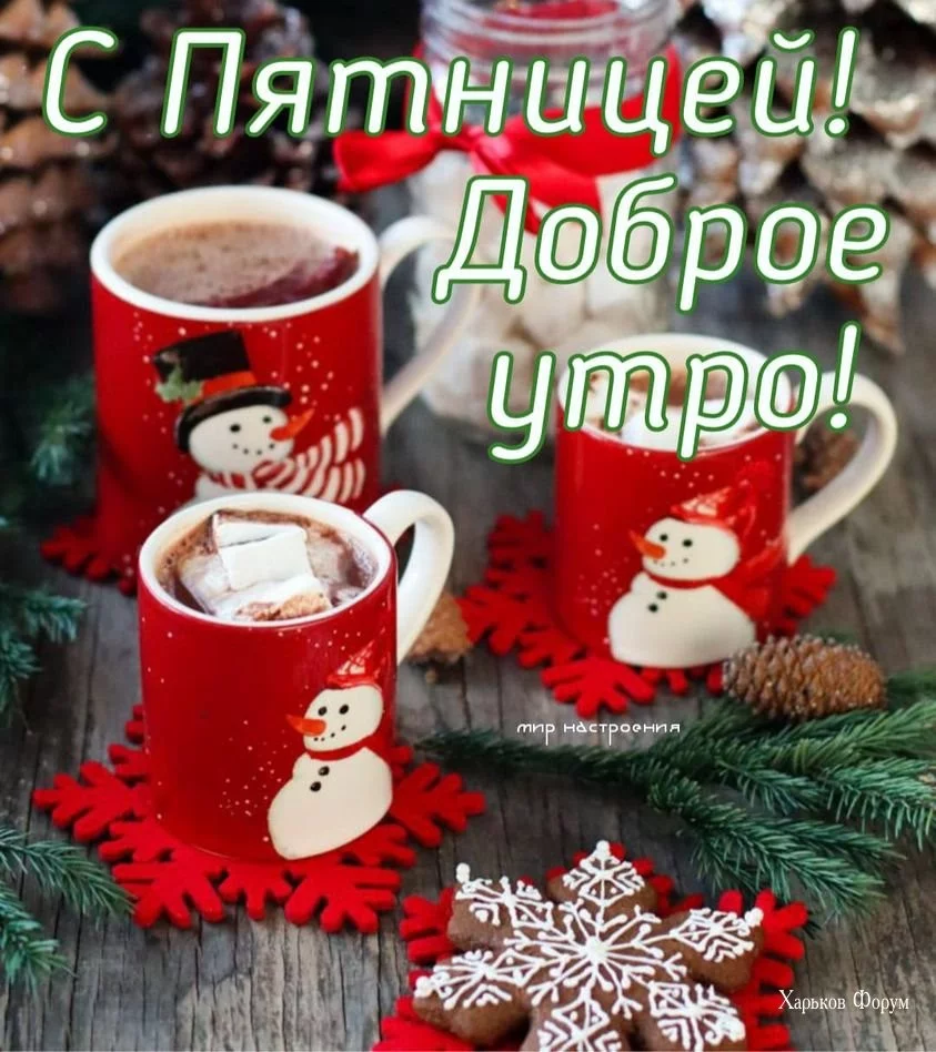 e4c7f4cb3288785d5b65e6.webp